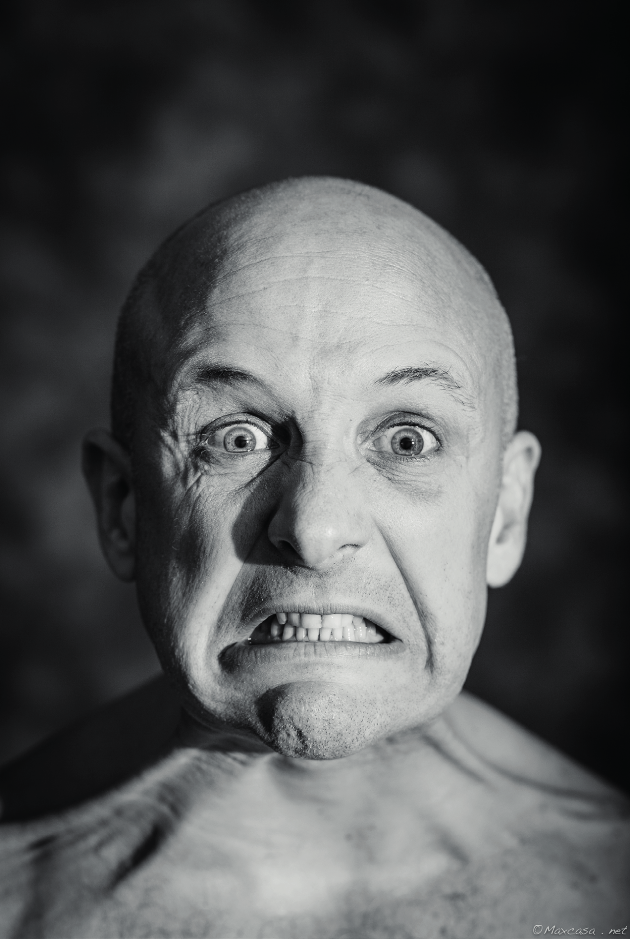 photo leonardo montecchia